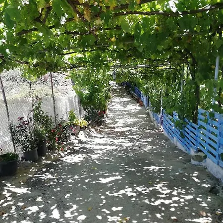 Casa Mari Carmen Y Jose