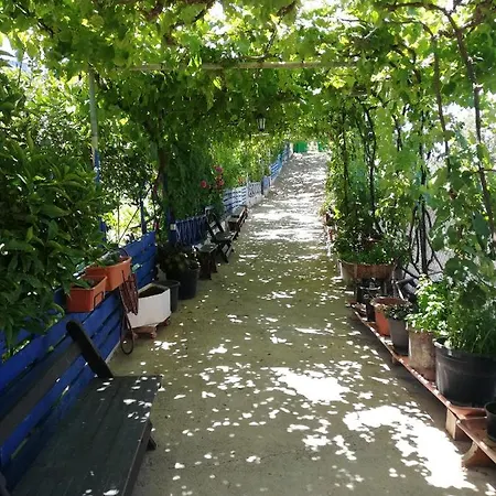 Apartman Casa Mari Carmen Y Jose